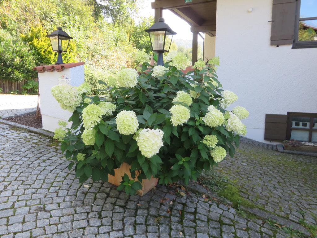 Ferienwohnung Hittenpichl Bodenmais Exterior foto